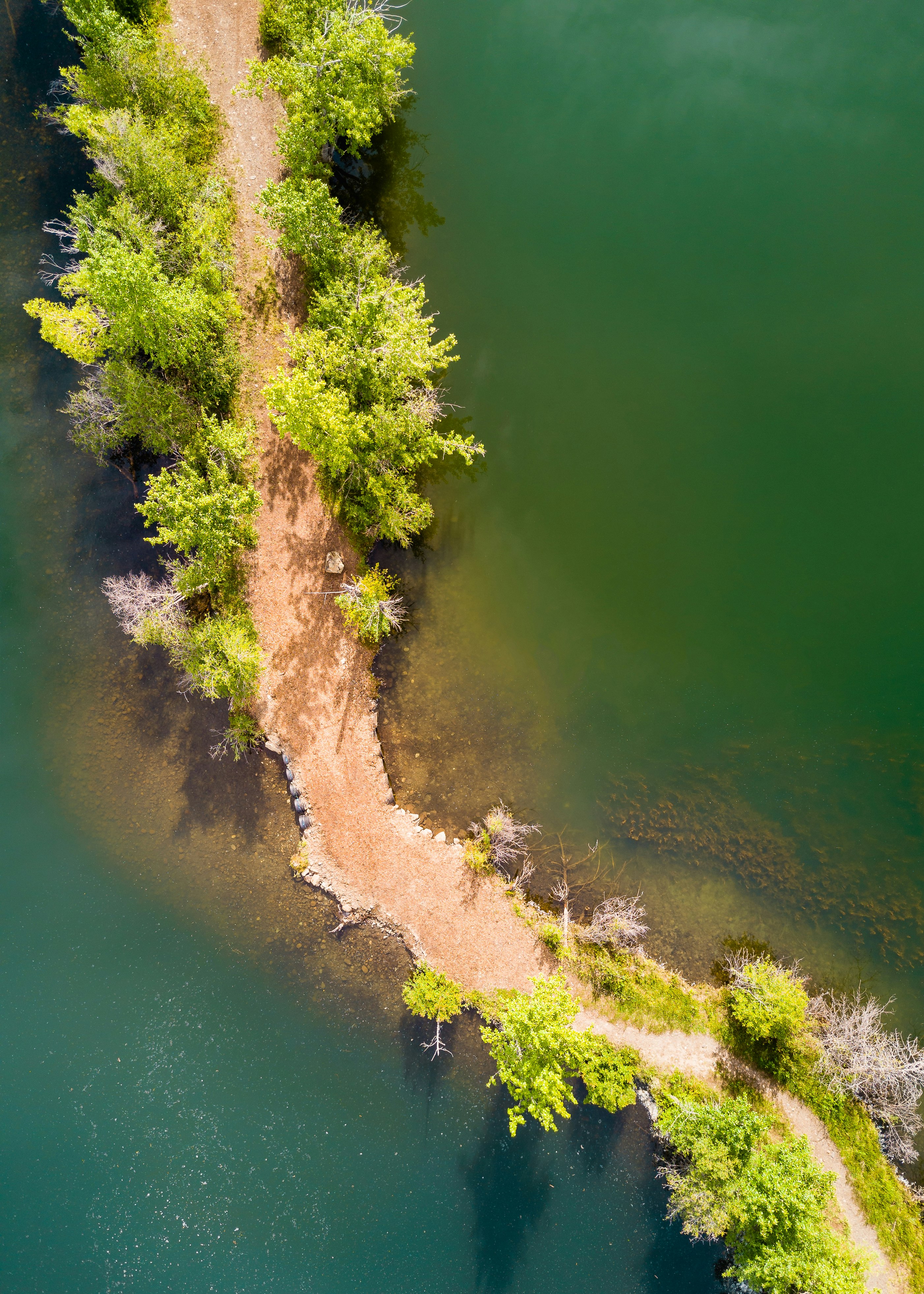 aerial view of beach